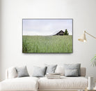 Summer Feel by Nancy Crowell on GIANT ART - grey photo art
