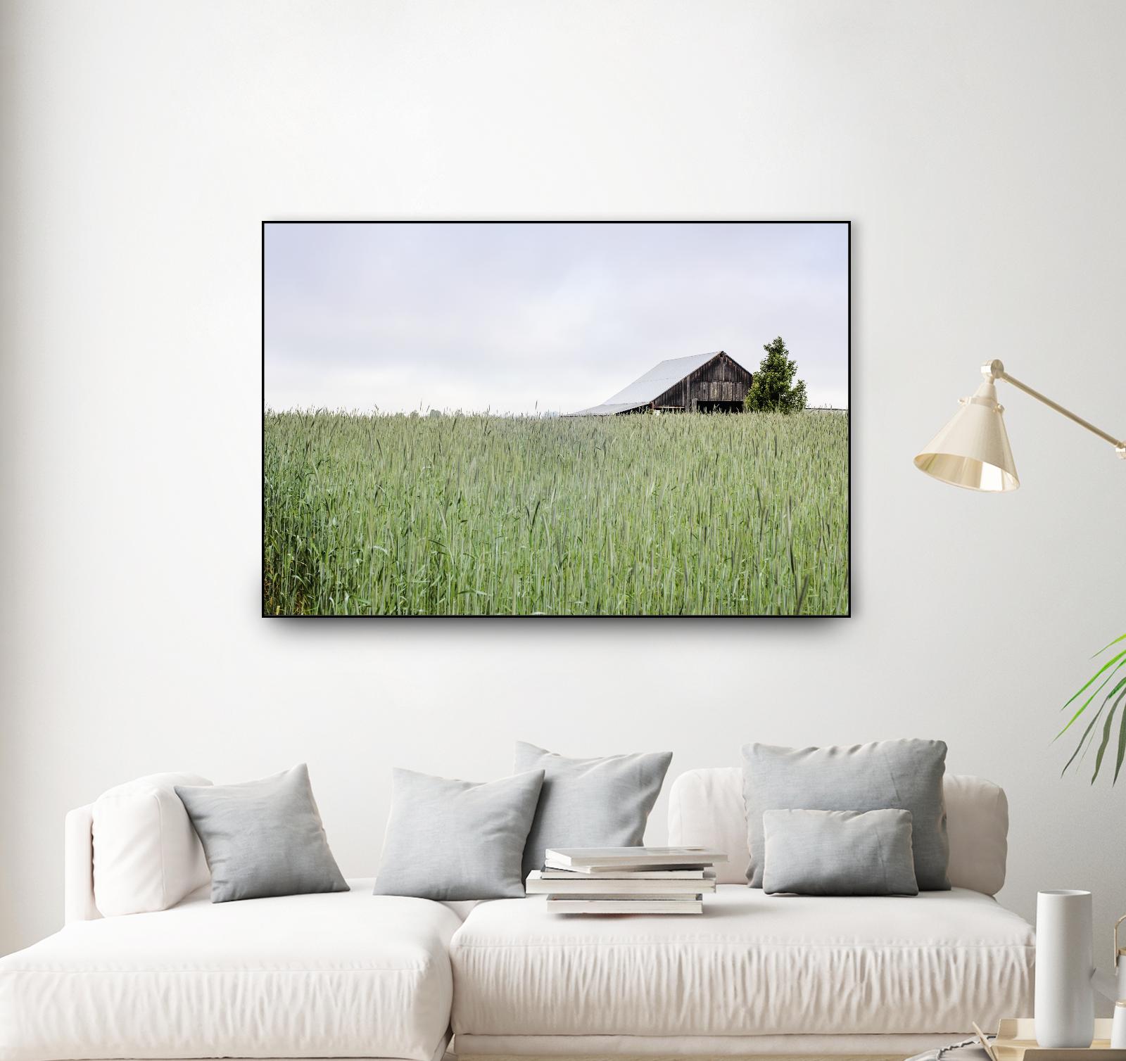 Summer Feel by Nancy Crowell on GIANT ART - grey photo art