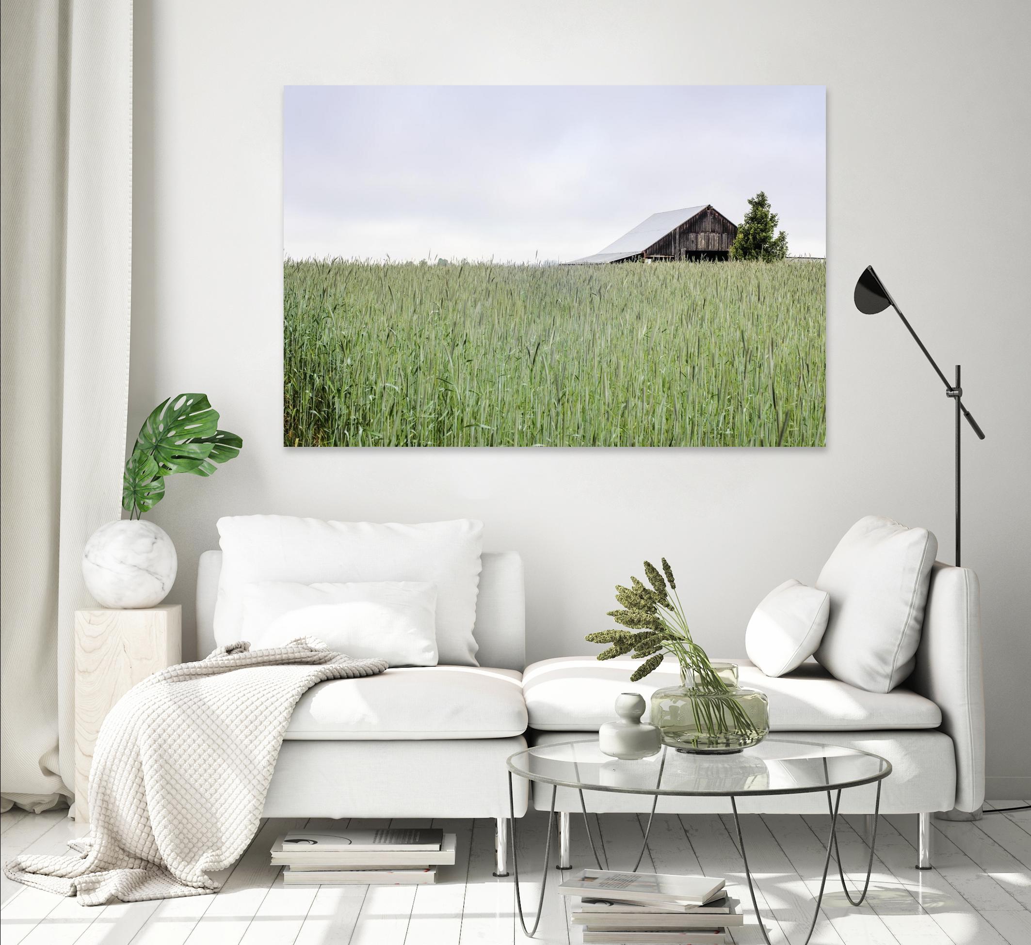 Summer Feel by Nancy Crowell on GIANT ART - grey photo art