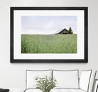 Summer Feel by Nancy Crowell on GIANT ART - grey photo art