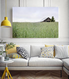 Summer Feel by Nancy Crowell on GIANT ART - grey photo art