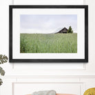 Summer Feel by Nancy Crowell on GIANT ART - grey photo art