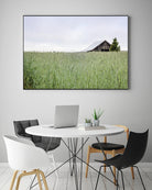 Summer Feel by Nancy Crowell on GIANT ART - grey photo art