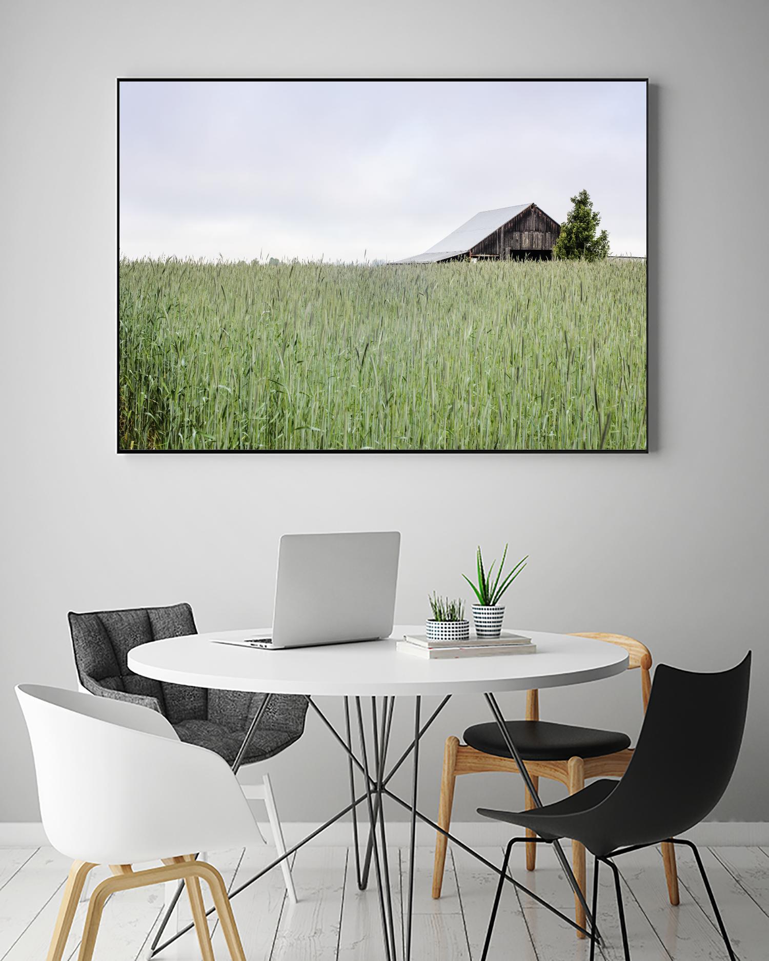 Summer Feel by Nancy Crowell on GIANT ART - grey photo art