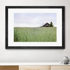 Summer Feel by Nancy Crowell on GIANT ART - grey photo art