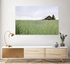 Summer Feel by Nancy Crowell on GIANT ART - grey photo art