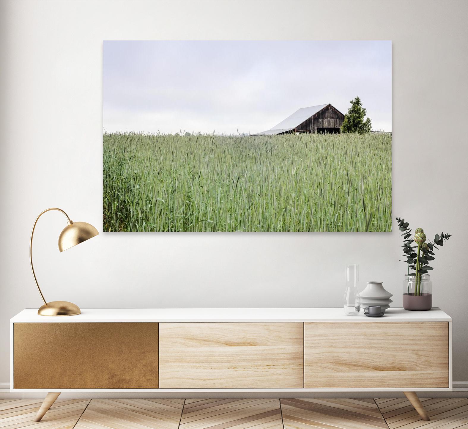 Summer Feel by Nancy Crowell on GIANT ART - grey photo art