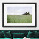 Summer Feel by Nancy Crowell on GIANT ART - grey photo art