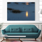 Wetland Moonlight by Nancy Crowell on GIANT ART - scenic