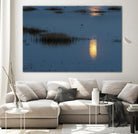 Wetland Moonlight by Nancy Crowell on GIANT ART - scenic