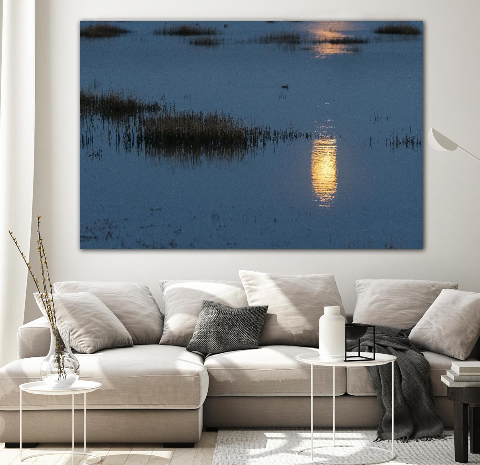 Wetland Moonlight by Nancy Crowell on GIANT ART - scenic