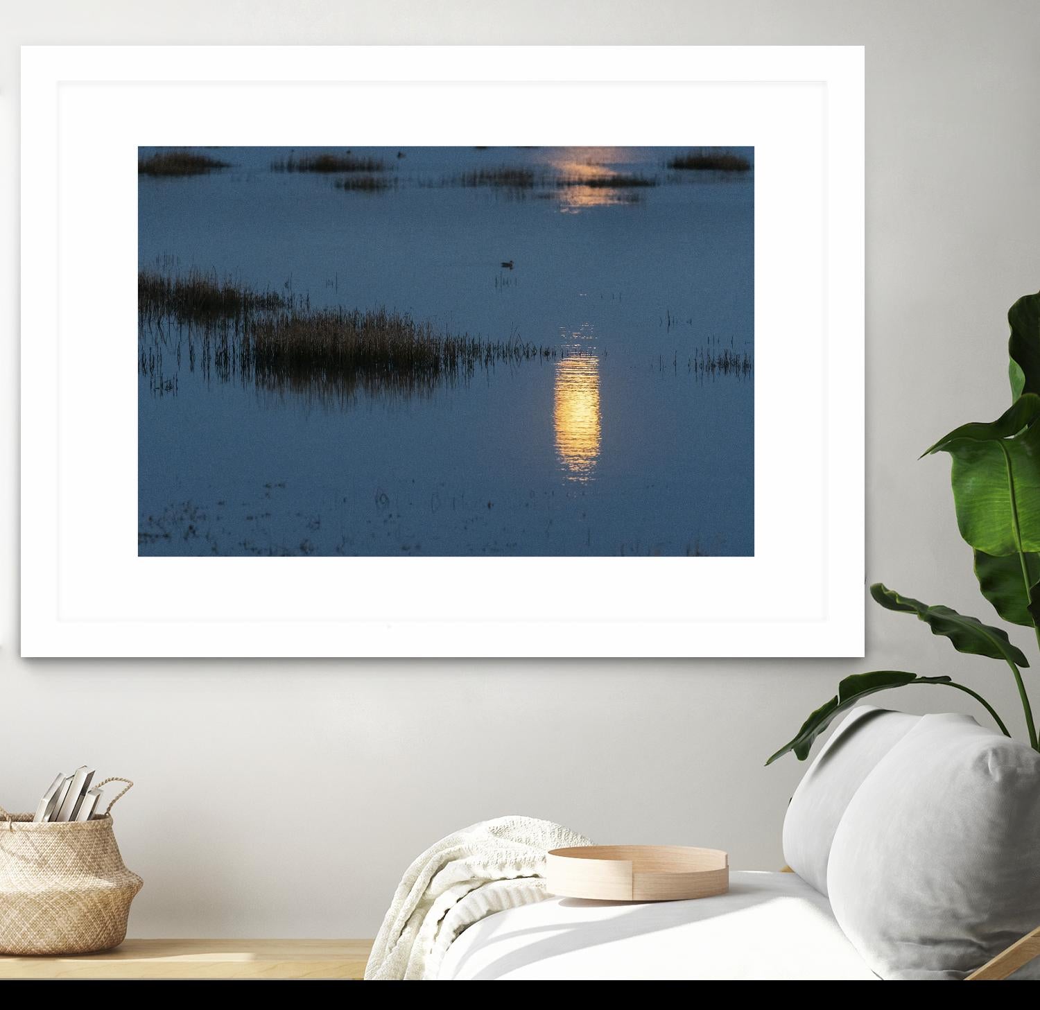 Wetland Moonlight by Nancy Crowell on GIANT ART - scenic