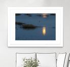 Wetland Moonlight by Nancy Crowell on GIANT ART - scenic