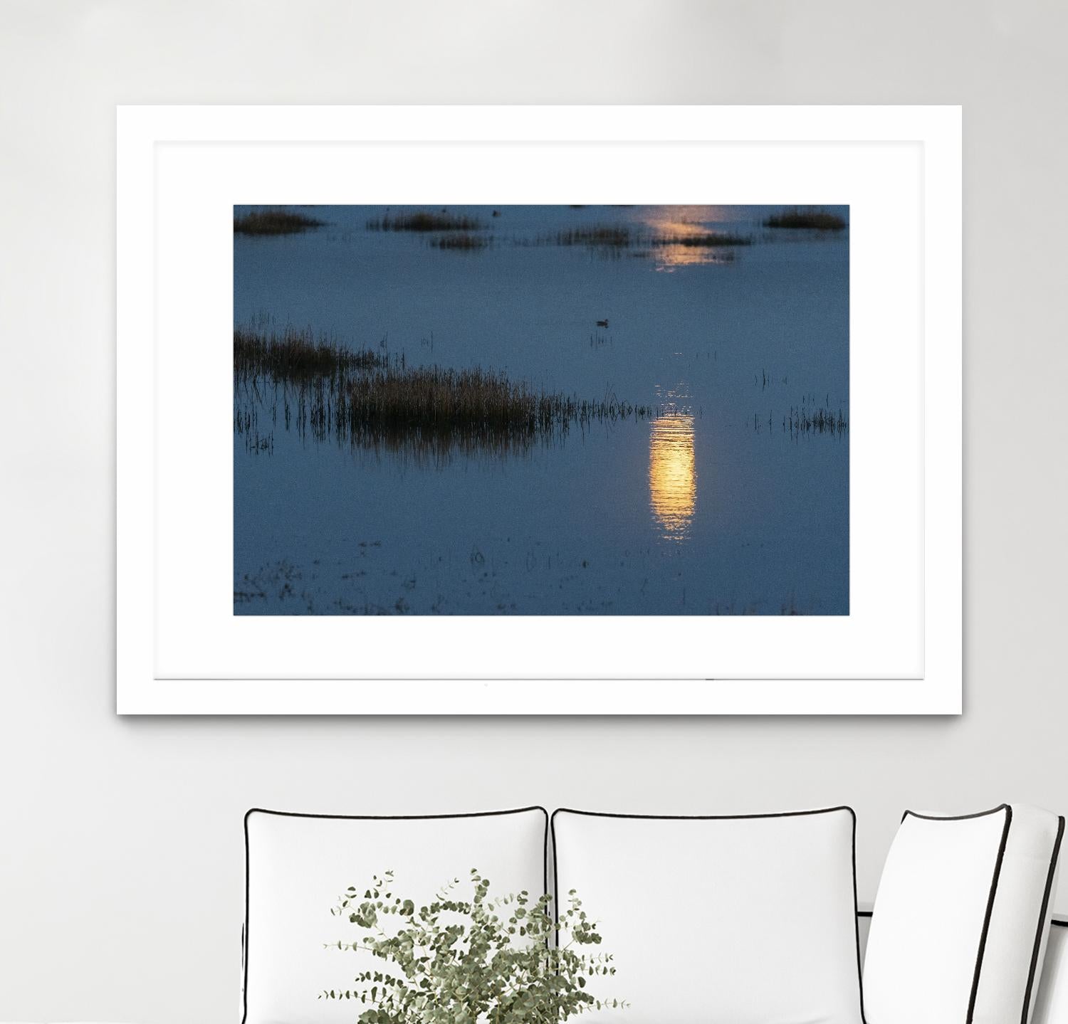 Wetland Moonlight by Nancy Crowell on GIANT ART - scenic
