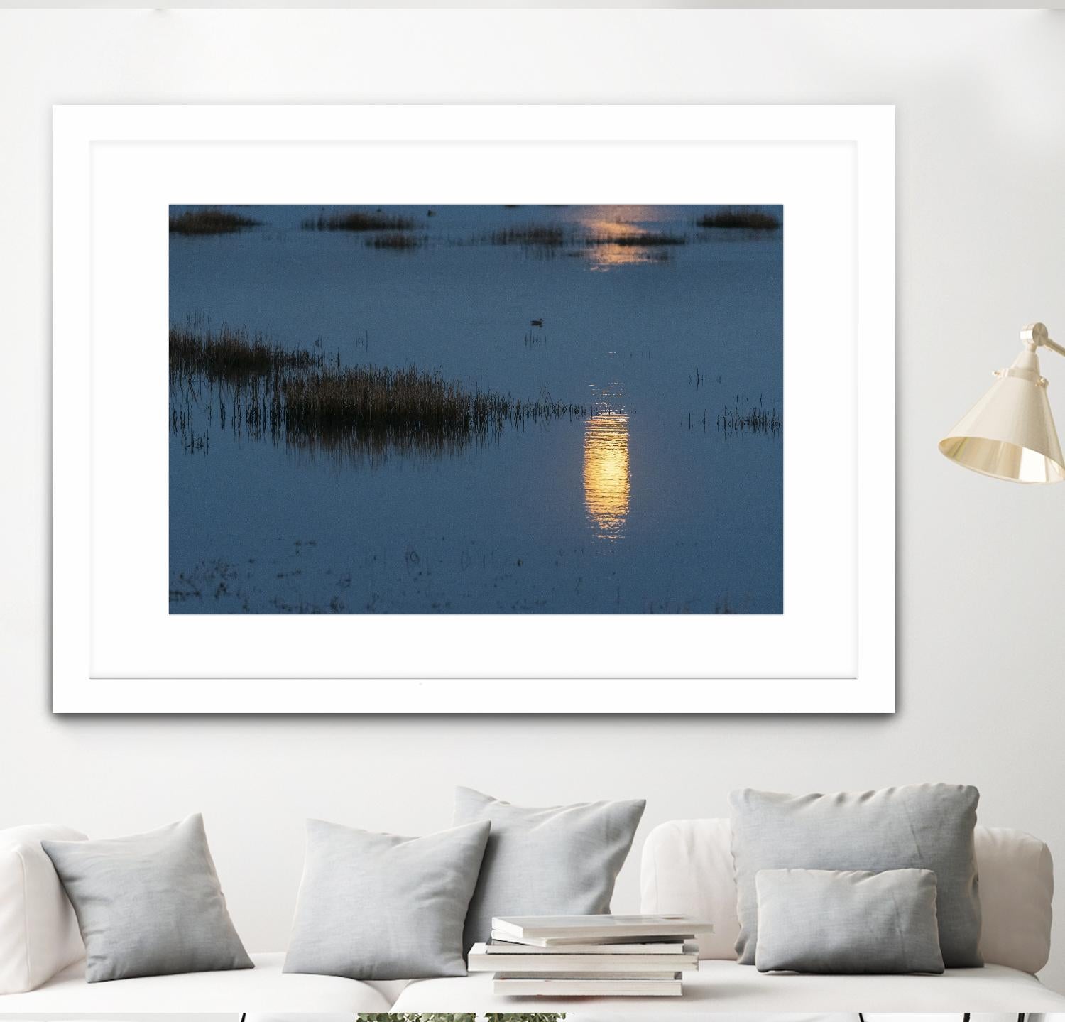 Wetland Moonlight by Nancy Crowell on GIANT ART - scenic