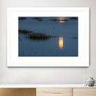 Wetland Moonlight by Nancy Crowell on GIANT ART - scenic
