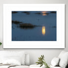 Wetland Moonlight by Nancy Crowell on GIANT ART - scenic
