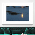 Wetland Moonlight by Nancy Crowell on GIANT ART - scenic