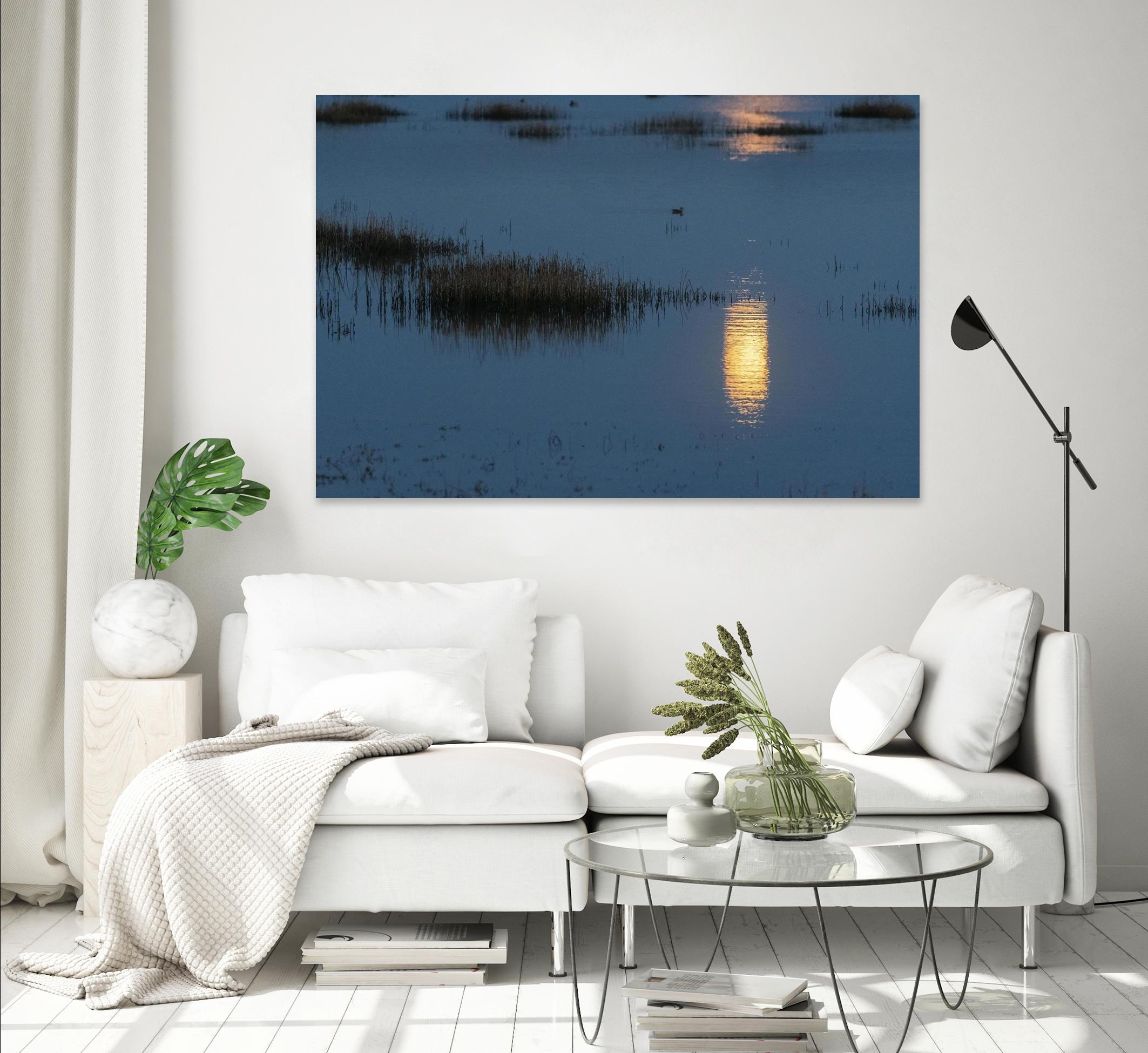 Wetland Moonlight by Nancy Crowell on GIANT ART - scenic