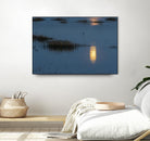 Wetland Moonlight by Nancy Crowell on GIANT ART - scenic