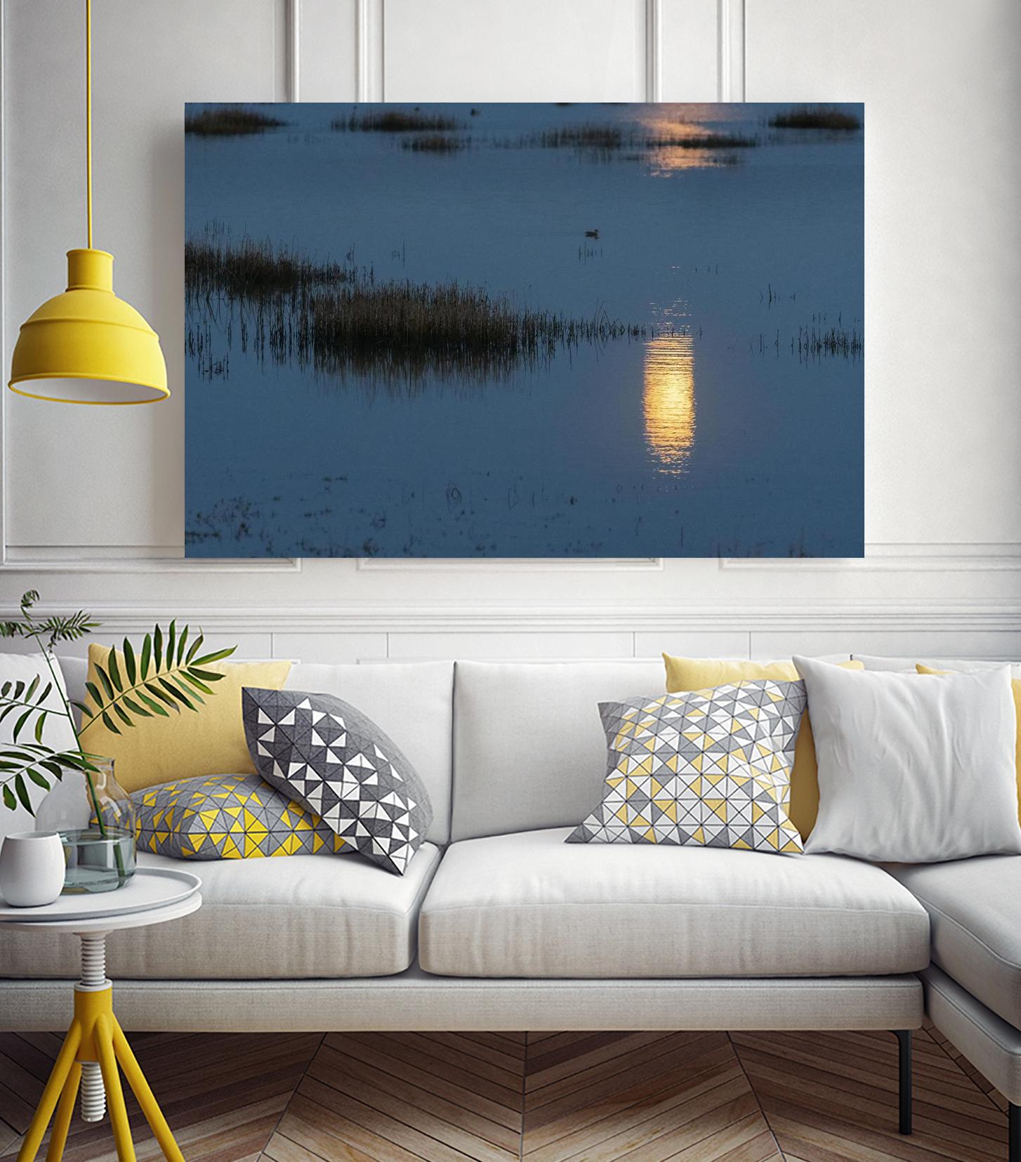 Wetland Moonlight by Nancy Crowell on GIANT ART - scenic