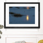 Wetland Moonlight by Nancy Crowell on GIANT ART - scenic