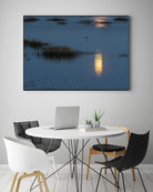 Wetland Moonlight by Nancy Crowell on GIANT ART - scenic