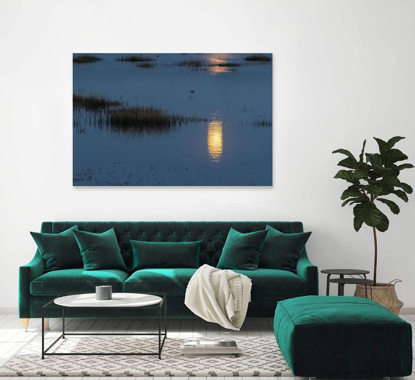 Wetland Moonlight by Nancy Crowell on GIANT ART - scenic