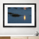 Wetland Moonlight by Nancy Crowell on GIANT ART - scenic