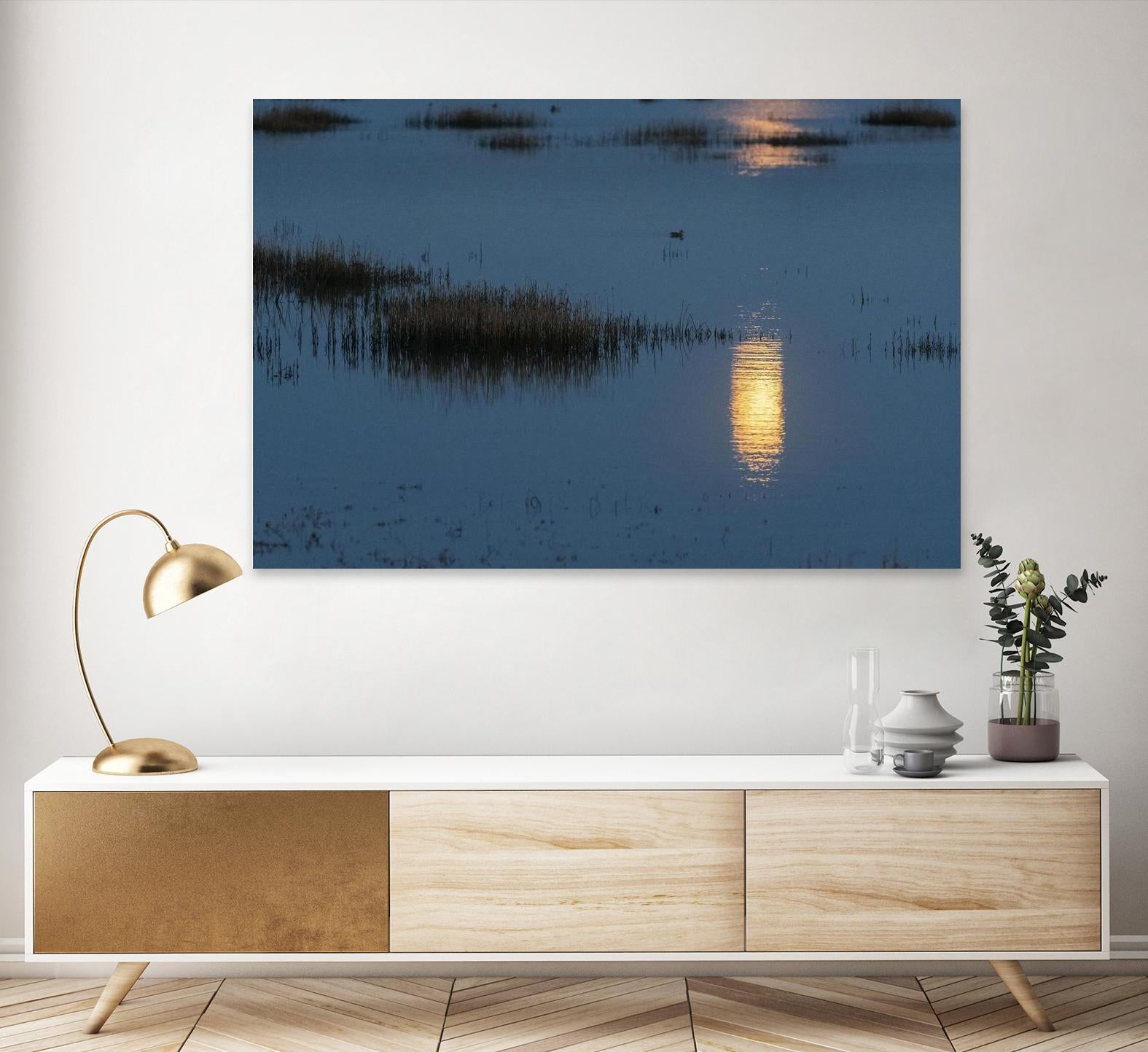 Wetland Moonlight by Nancy Crowell on GIANT ART - scenic