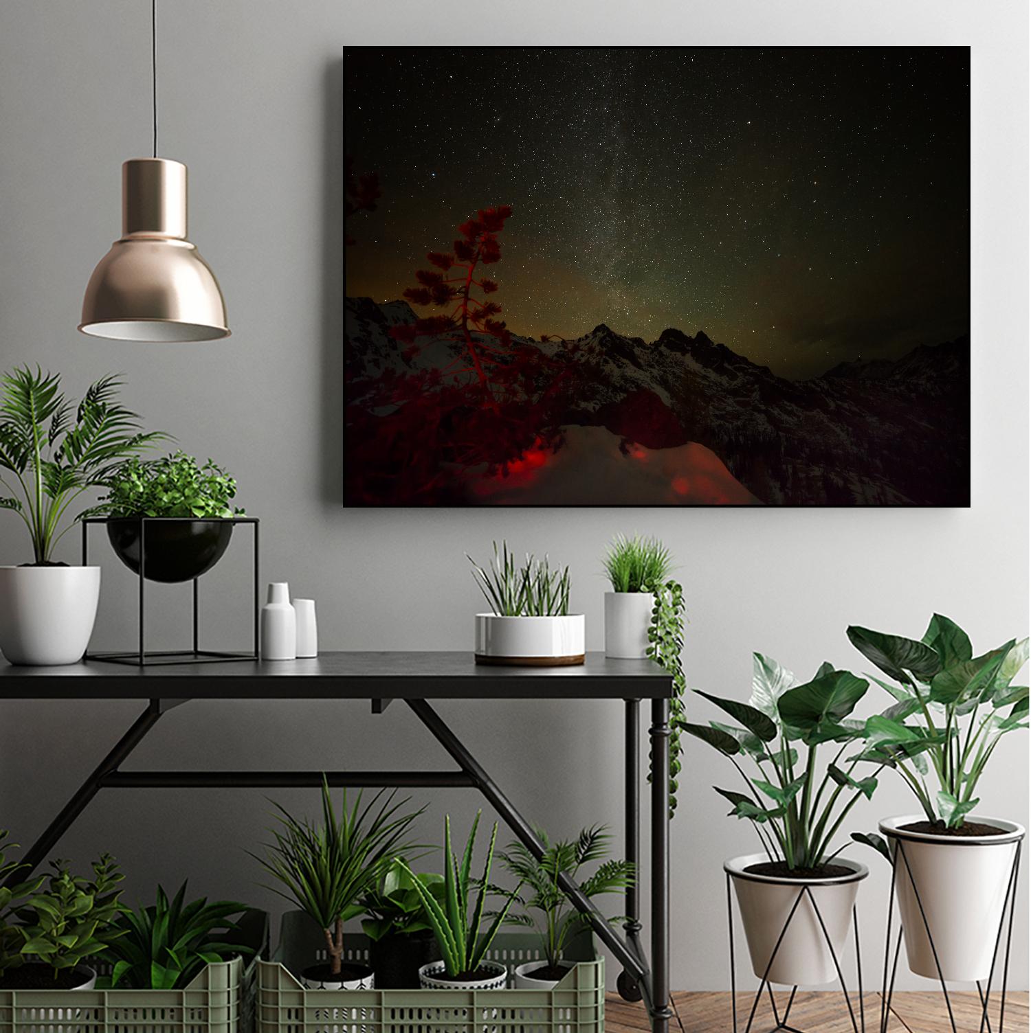 Photograph 15 by Keith Morgan on GIANT ART - black photo art