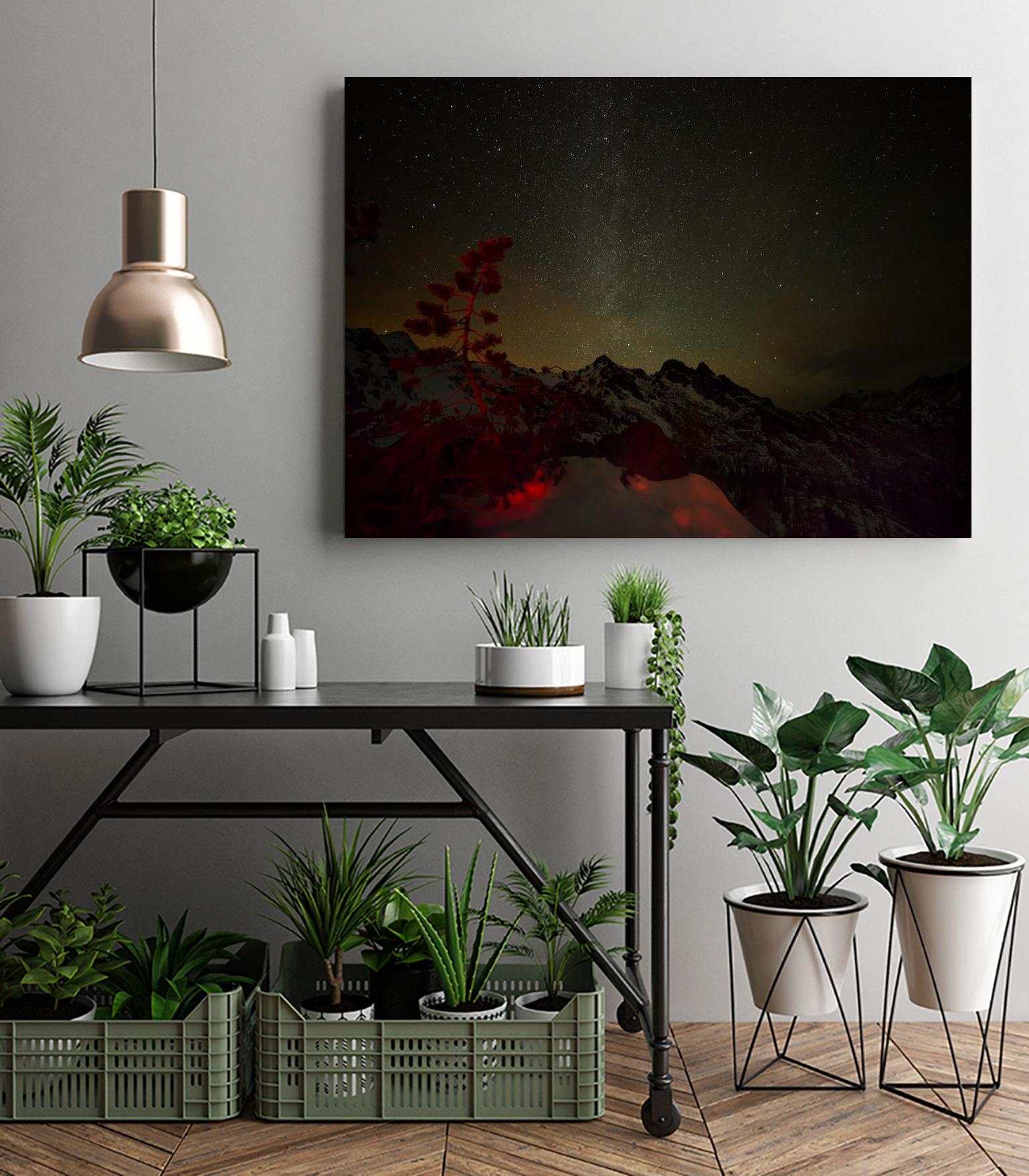 Photograph 15 by Keith Morgan on GIANT ART - black photo art