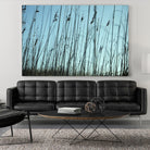 Whispers by Lori Prenner on GIANT ART - beige photo art