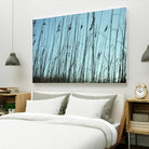 Whispers by Lori Prenner on GIANT ART - beige photo art