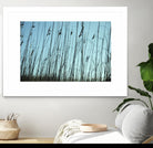 Whispers by Lori Prenner on GIANT ART - beige photo art