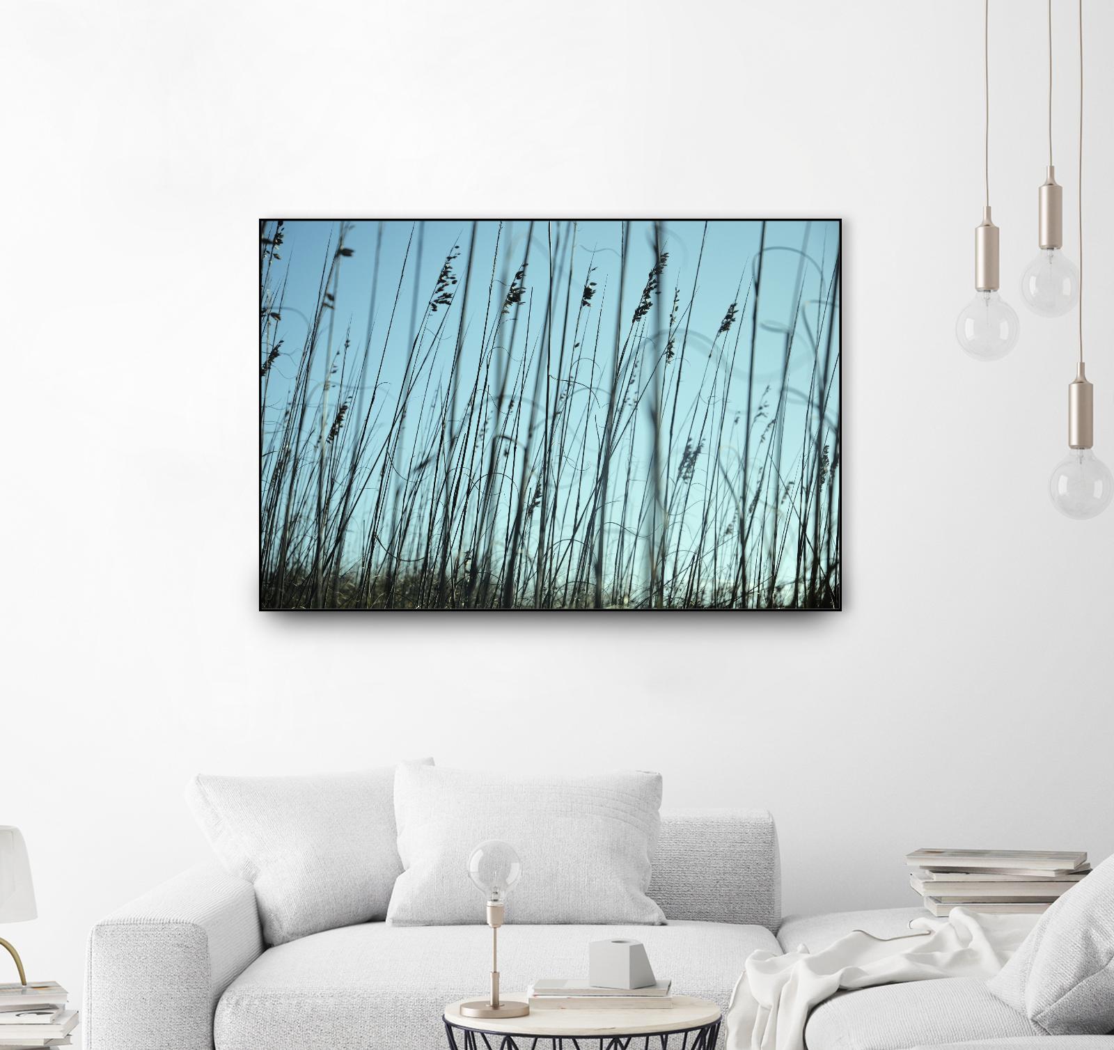 Whispers by Lori Prenner on GIANT ART - beige photo art