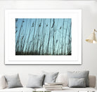 Whispers by Lori Prenner on GIANT ART - beige photo art