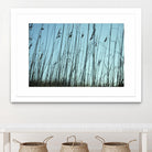 Whispers by Lori Prenner on GIANT ART - beige photo art