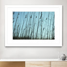 Whispers by Lori Prenner on GIANT ART - beige photo art