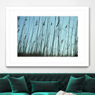 Whispers by Lori Prenner on GIANT ART - beige photo art