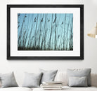 Whispers by Lori Prenner on GIANT ART - beige photo art