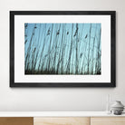 Whispers by Lori Prenner on GIANT ART - beige photo art