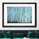 Whispers by Lori Prenner on GIANT ART - beige photo art