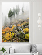 Photograph 8 by Aaron Matheson on GIANT ART - green landscape