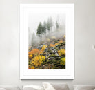 Photograph 8 by Aaron Matheson on GIANT ART - green landscape