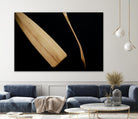Paddles I by Melissa McClain on GIANT ART - beige photo art