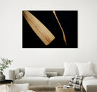 Paddles I by Melissa McClain on GIANT ART - beige photo art