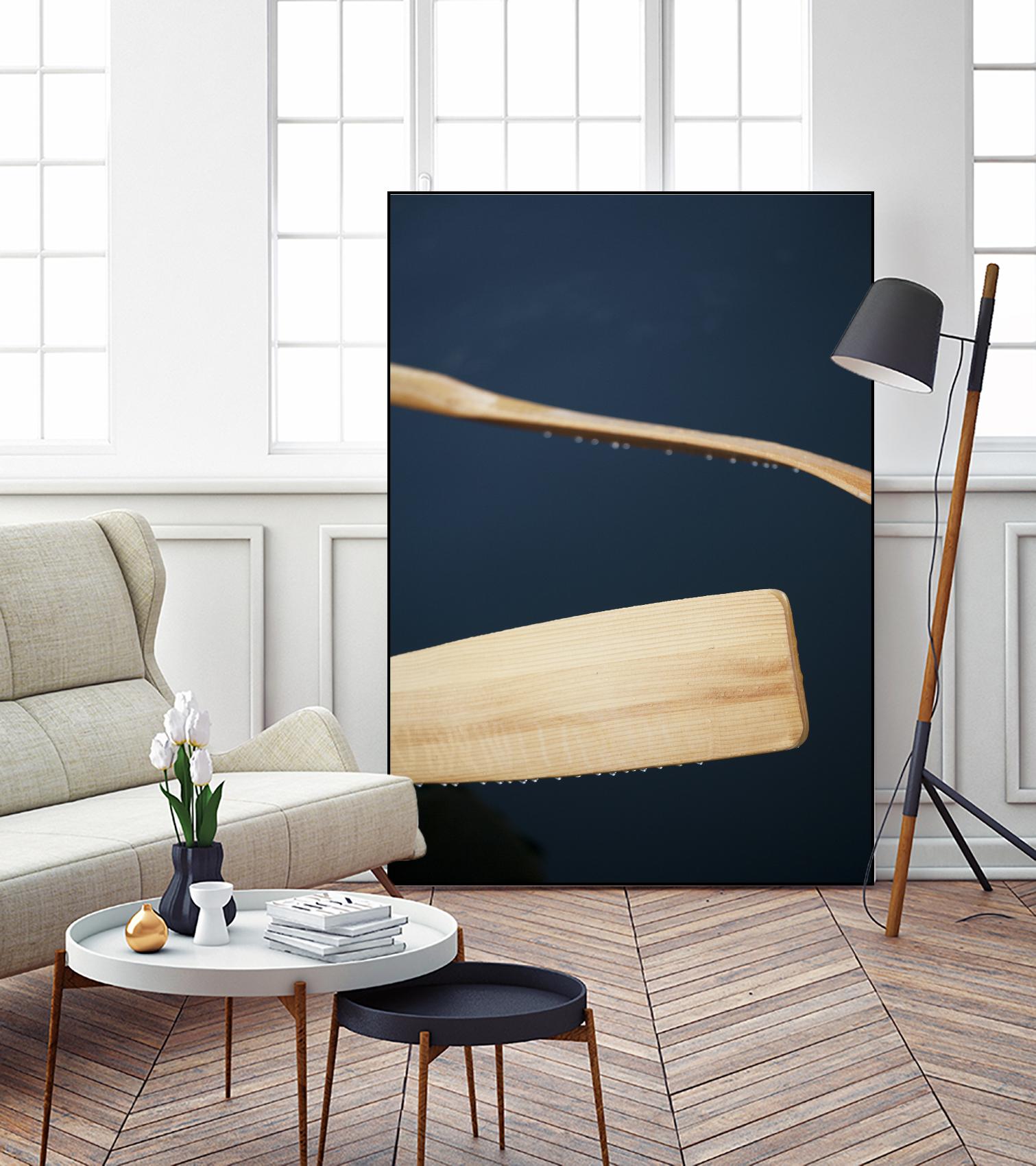 Paddles II by Melissa McClain on GIANT ART - beige photo art