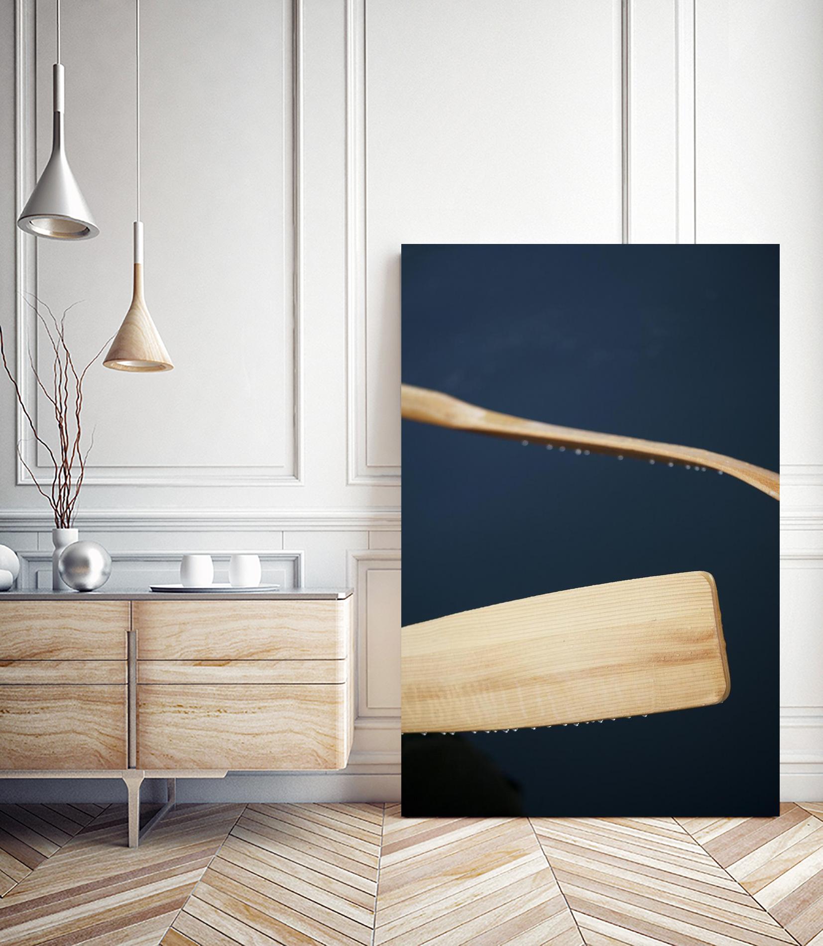 Paddles II by Melissa McClain on GIANT ART - beige photo art