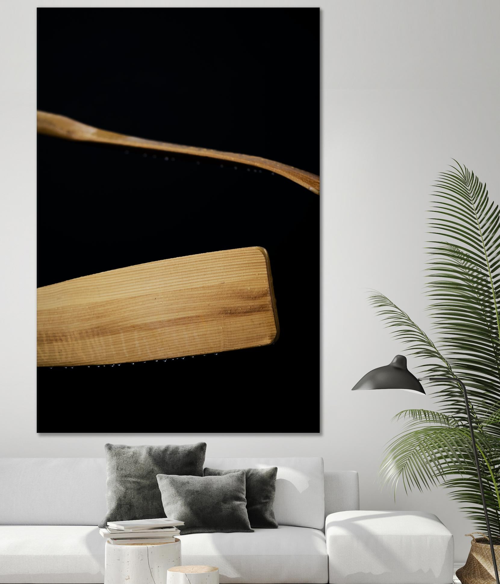 Paddles III by Melissa McClain on GIANT ART - beige photo art